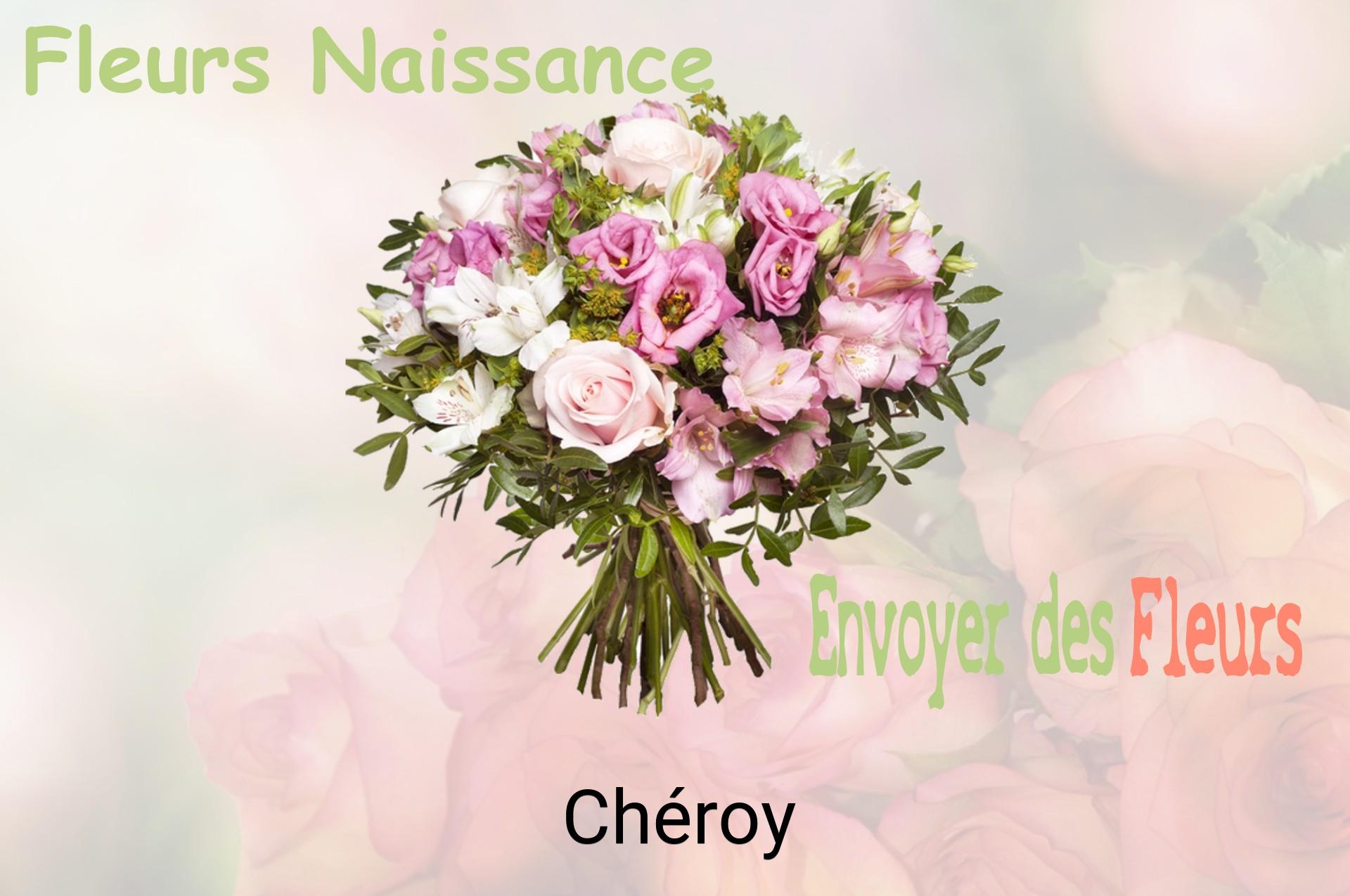 Bouquet de fleurs de naissance livré à Chéroy